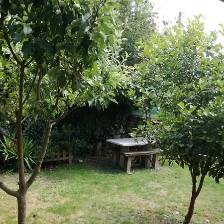 Casa De Requeixo- Ribeira Sacra * Nogueira De Ramuin